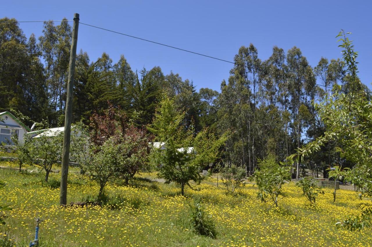 Country house Hecmar 2